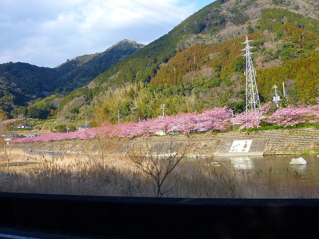 P1060039.jpg