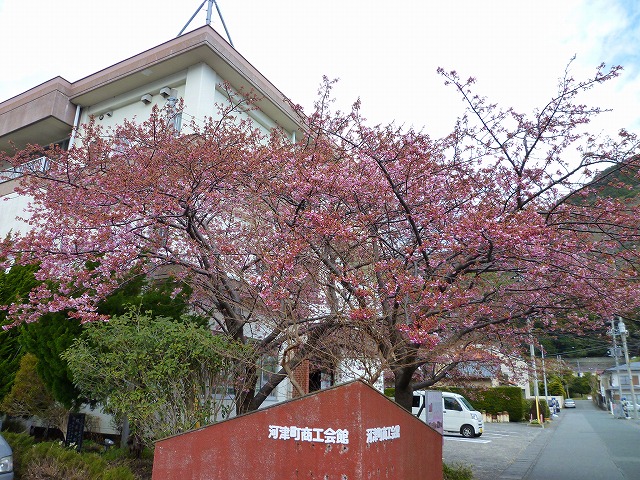 P1040844.jpg