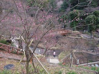 0126-1.jpg