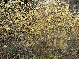 0126-2.jpg