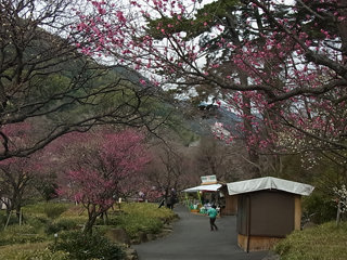 0130-2.jpg