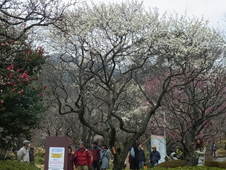 0130-4.jpg