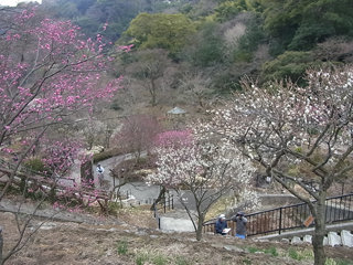 0130-5.jpg