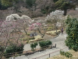 0130-6.jpg
