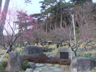 0131-1.jpg