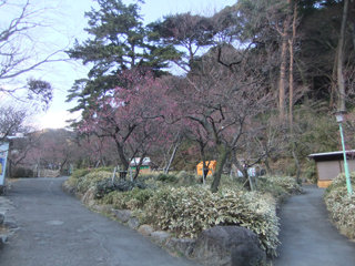 0131-2.jpg