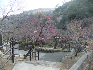0131-3.jpg