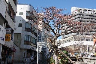 0131itogawa2.jpg