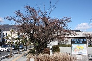 0131kaihin.jpg
