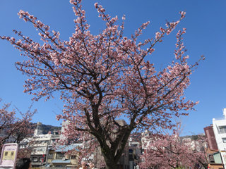 0201-4.jpg