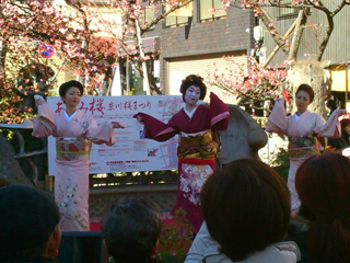 0201geigi1.jpg