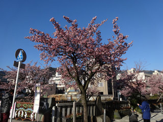 0214-4.jpg