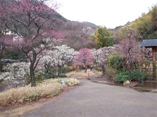0215-1.jpg