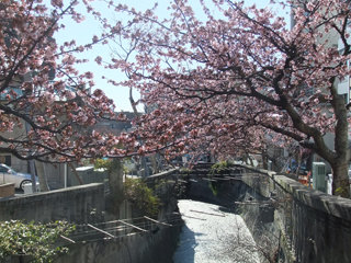 0218itogawa3.jpg