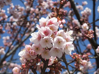 0218itogawa4_20120222073519.jpg