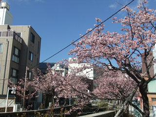 0221-03.jpg