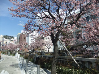 0221-04.jpg