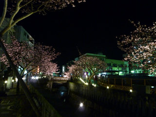 0223-4.jpg