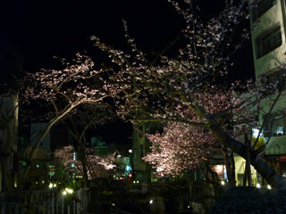 0223-5.jpg