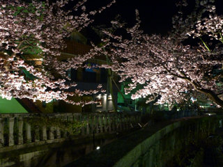 0223-6.jpg