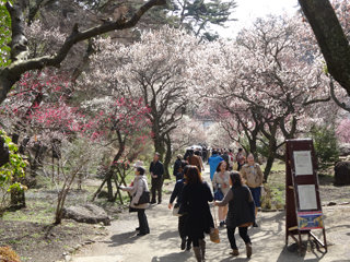 0228-07.jpg