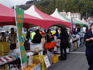 0307wakame2.jpg