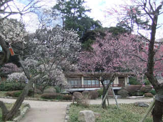 0313-4.jpg