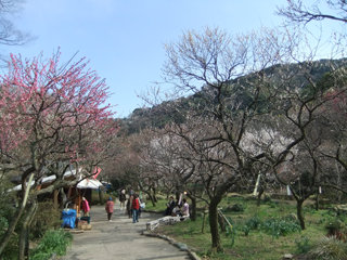 0326-3.jpg