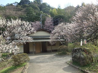 0326-4.jpg