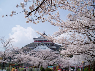 0407sakura3_20130323072901.jpg