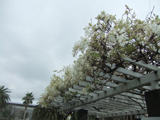 0417fuji1.jpg