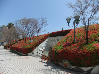 0420tutuji1.jpg