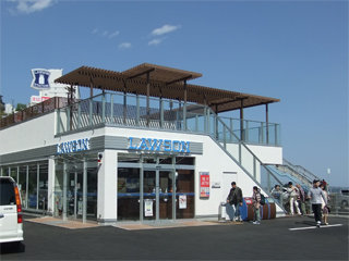 0426cogoo3.jpg