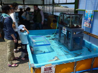 0504hatu3.jpg