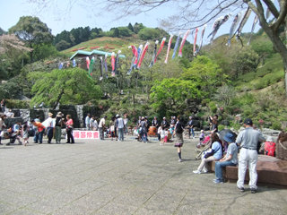 0505hime1_20120430075950.jpg