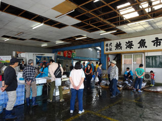 0511sakana1.jpg
