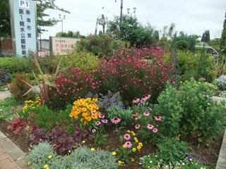0619photo1.jpg