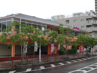 0621jakaranda05.jpg