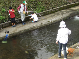 0703masu3.jpg