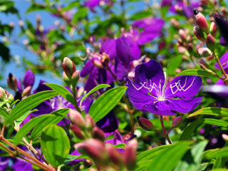 0908akao_20110926071916.jpg