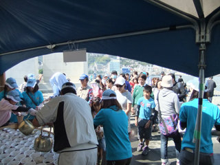1013osakana4.jpg