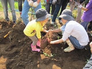 1031imo2_20121025074449.jpg