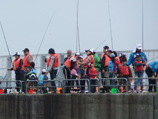 1102osakana7_201410130742114f0.jpg