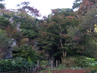 1104momiji2.jpg