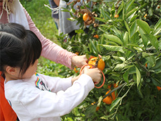 1105imo12_20111130075951.jpg