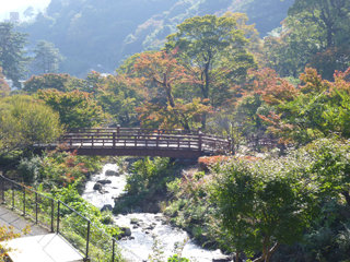 1113momiji2.jpg