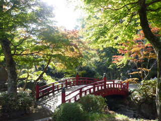 1113momiji4.jpg