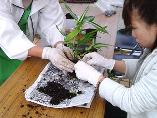 1122hana2_20111105081911.jpg