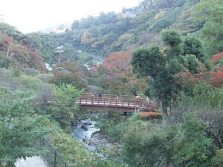 1124momiji1_20121108091842.jpg