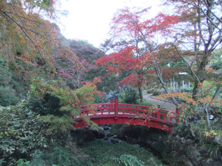 1124momiji2_20111126075737.jpg